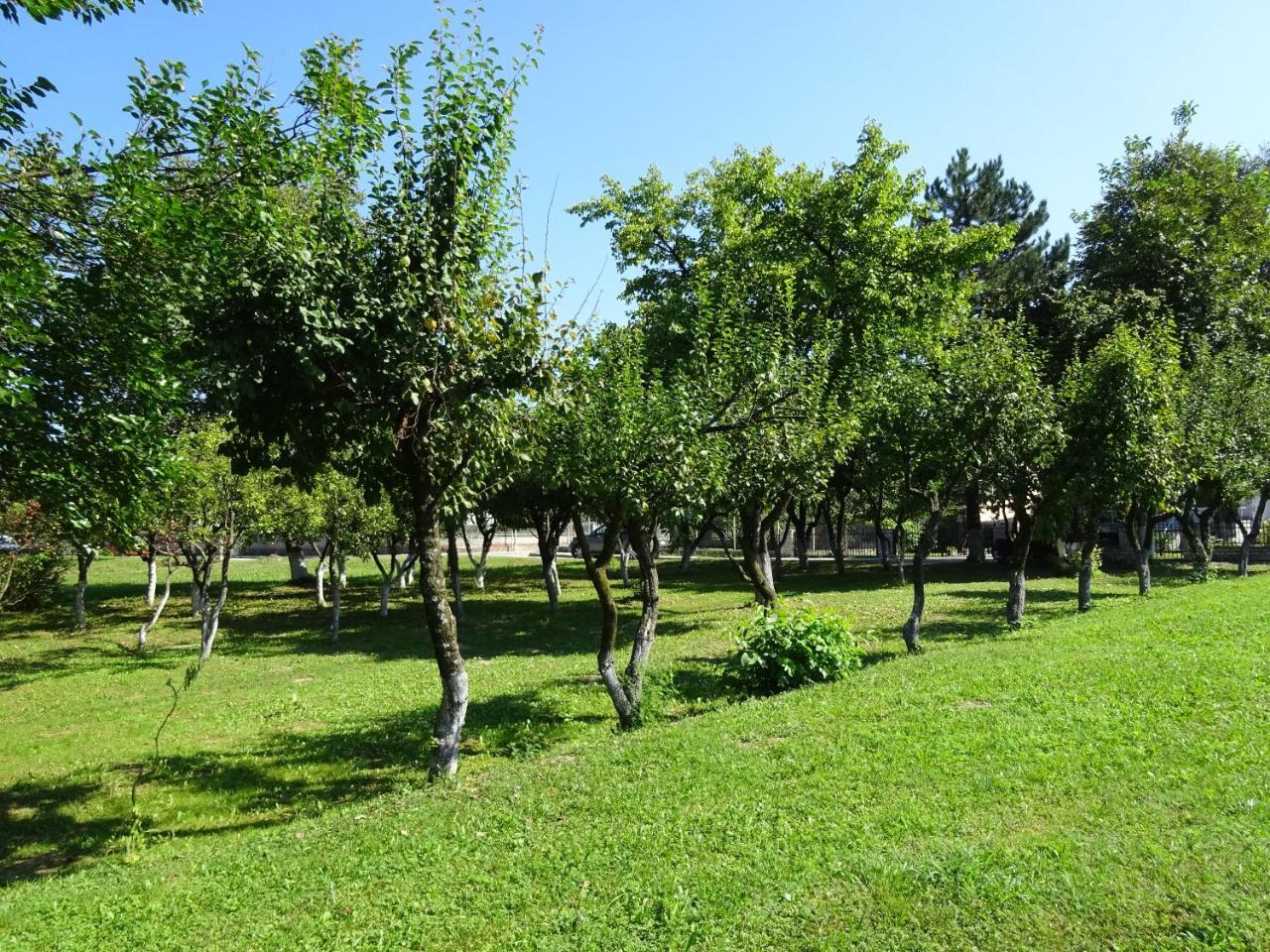 Apartment Una Laguna Bihać Екстериор снимка